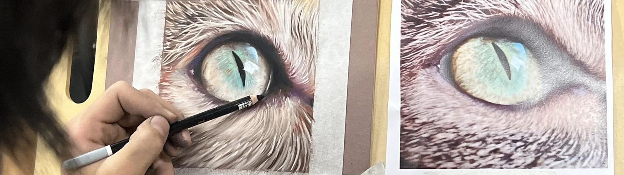 ADVANCED Pastel Pencil Drawing Program (13 16yrs) ART101 STUDIOS