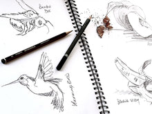 Load image into Gallery viewer, Newbie Sketch Club | 31 JAN - 28 FEB 2025 | Fridays 6 - 7:30pm | 5 Week Short Course