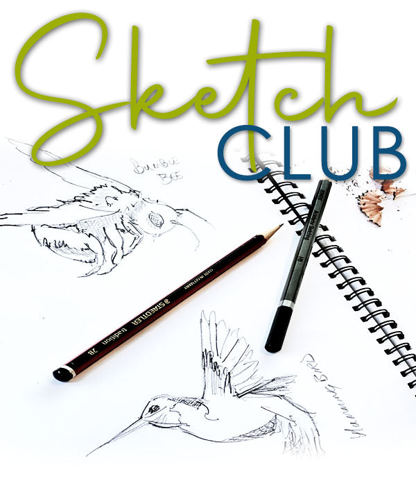 TERM 2 | BEGINNERS Sketch Club | Fridays 4 - 5pm | 19 APRIL - 21 June | 10 Week Term