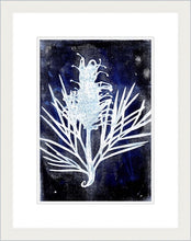 Load image into Gallery viewer, Botanical Monoprint Series 2021
