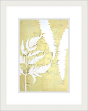 Load image into Gallery viewer, Botanical Monoprint Series 2021
