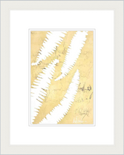 Load image into Gallery viewer, Botanical Monoprint Series 2021
