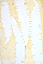 Load image into Gallery viewer, Botanical Monoprint Series 2021
