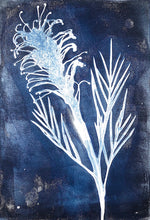 Load image into Gallery viewer, Botanical Monoprint Series 2021
