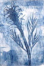 Load image into Gallery viewer, Botanical Monoprint Series 2021
